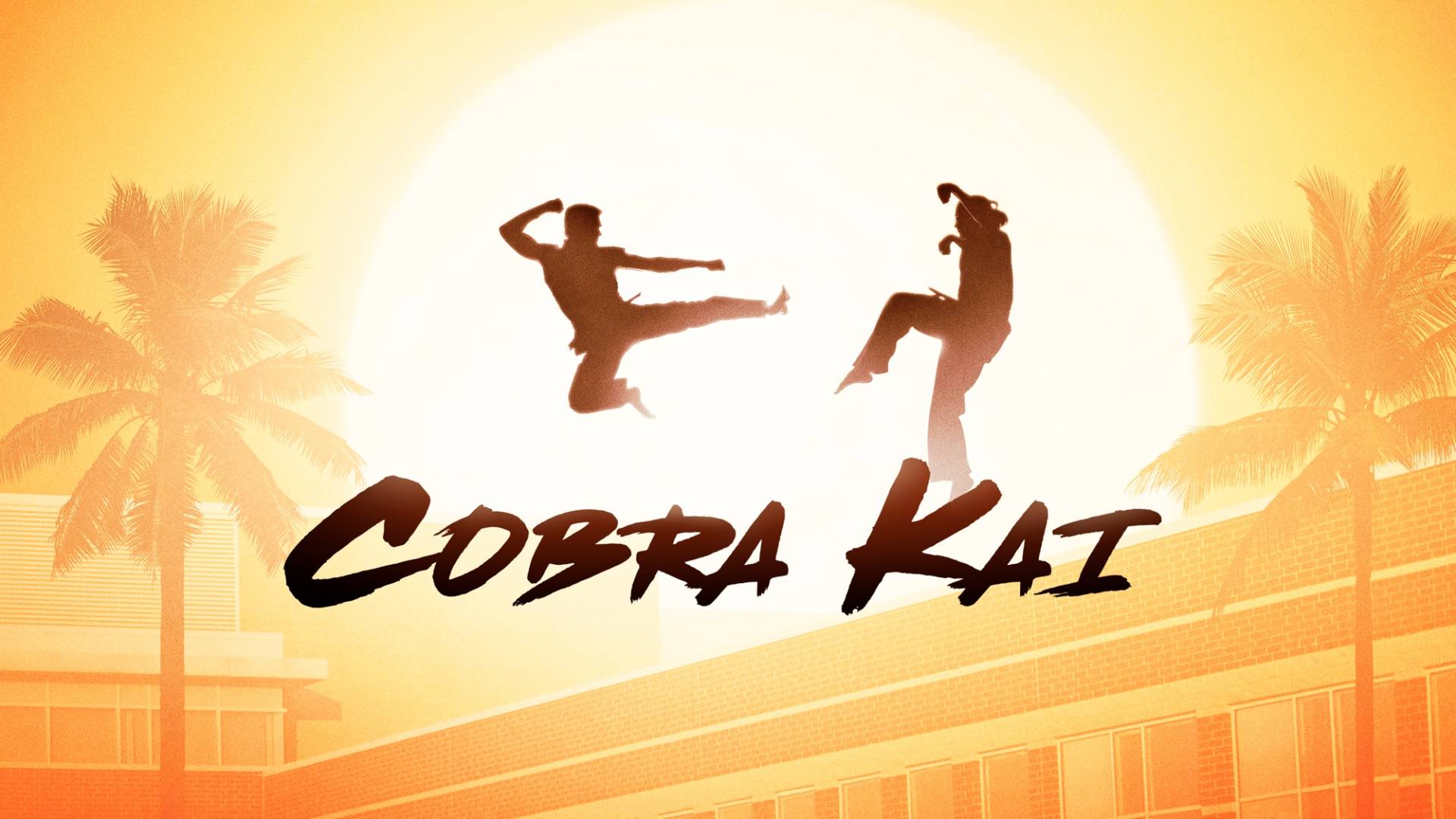 Cobra Kai foi cancelada? Entenda por que a série não terá sétima temporada