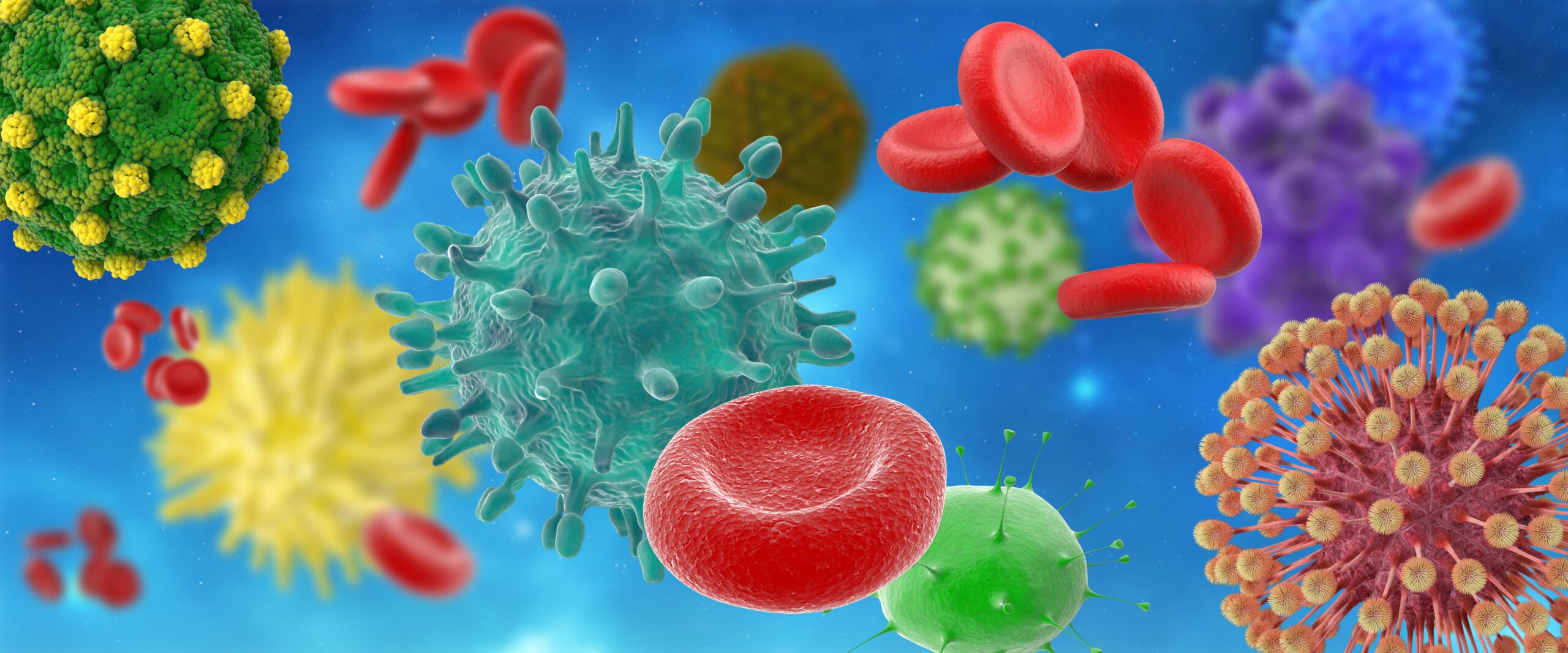 Viroides: as ‘fitinhas’ de RNA que sequestram enzimas e entram em nossas células