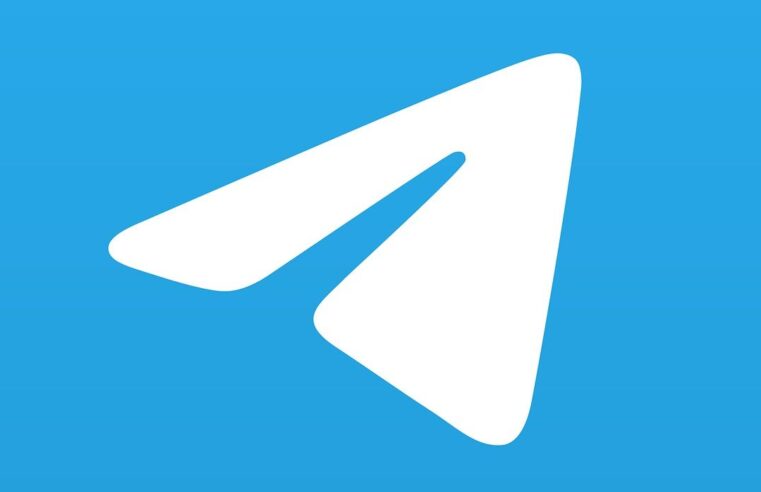 Telegram: dados de 1.008 brasileiros foram entregues às autoridades só em 2024