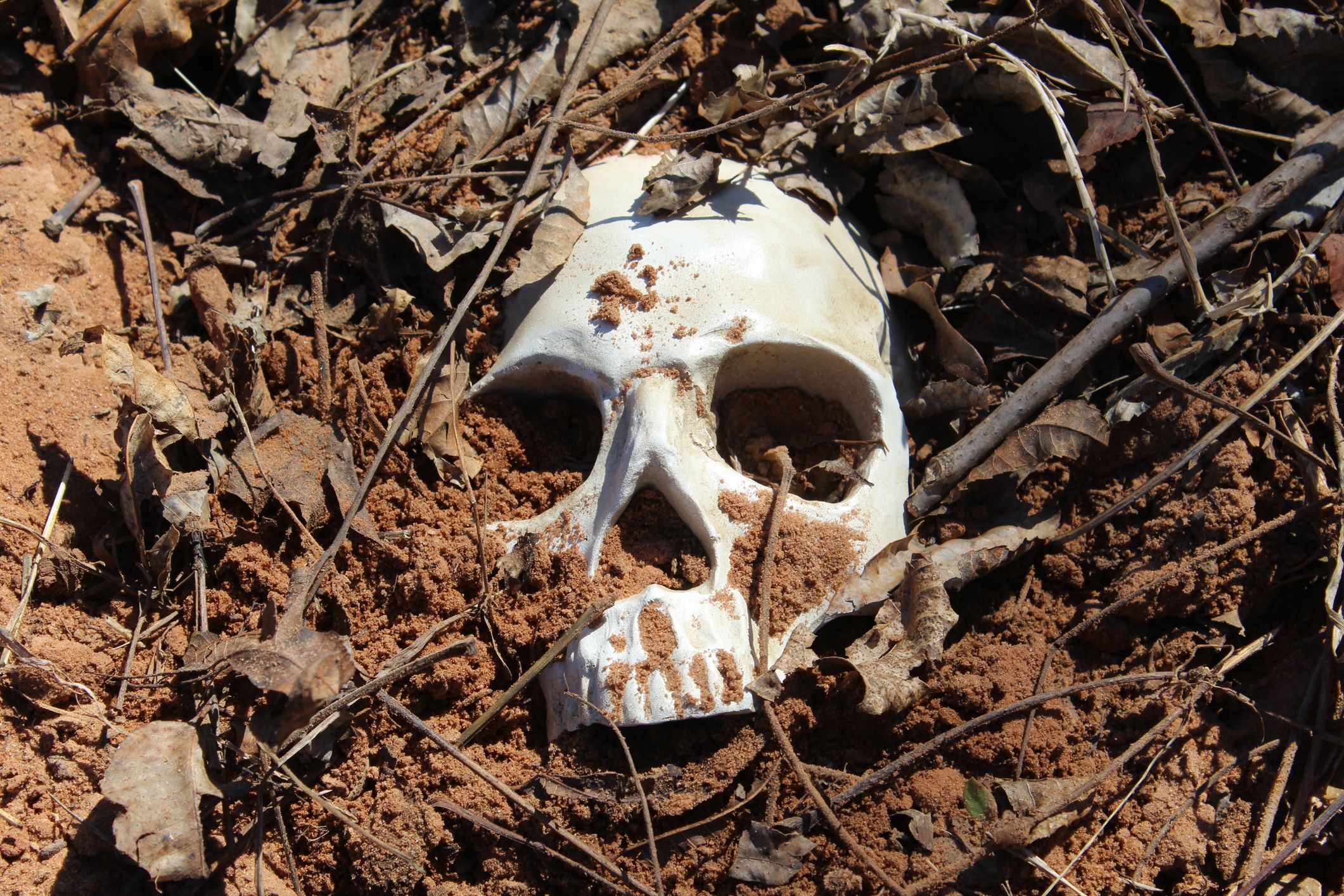 Estudo ‘solucionou’ mistério sobre crânios decapitados da Idade do Ferro na Espanha