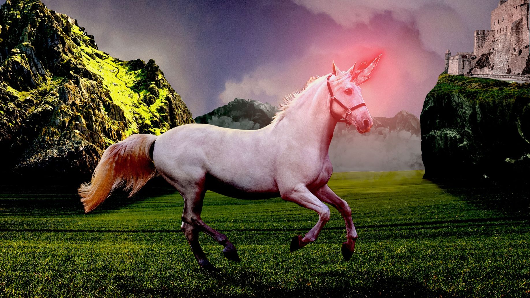 Conheça o ‘unicórnio da Sibéria’, o animal que pode ter inspirado contos de fadas