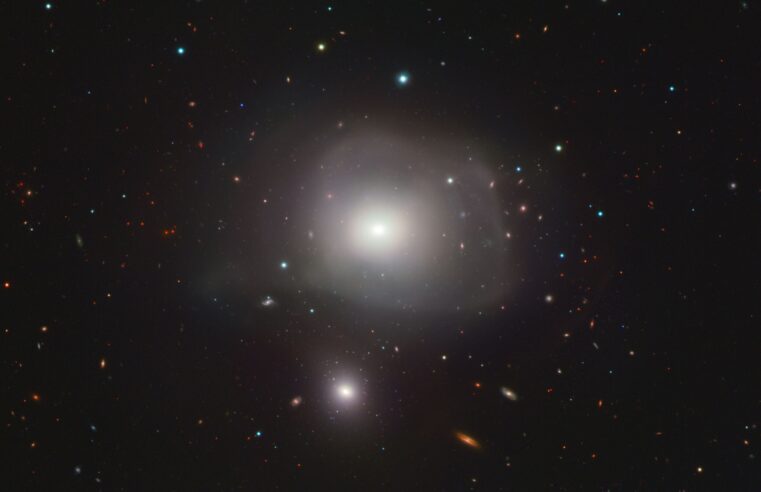 #AstroMiniBR: Uma galáxia predadora no Universo