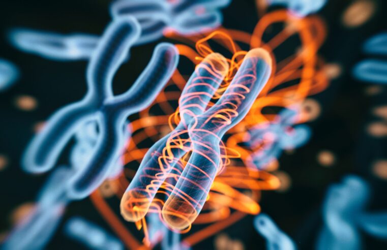 A herança genética do trauma: estudo revela o impacto na violência no DNA