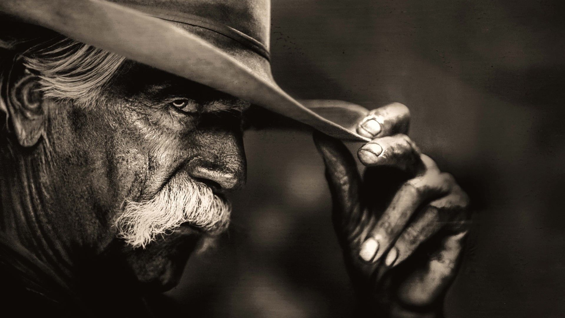 1883: série spin-off de Yellowstone terá segunda temporada?