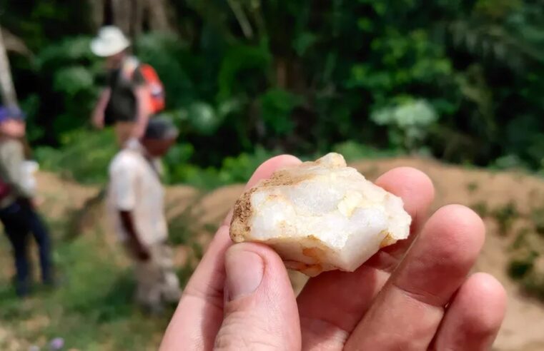 Primeiros humanos viveram em florestas tropicais há 150 mil anos, diz estudo
