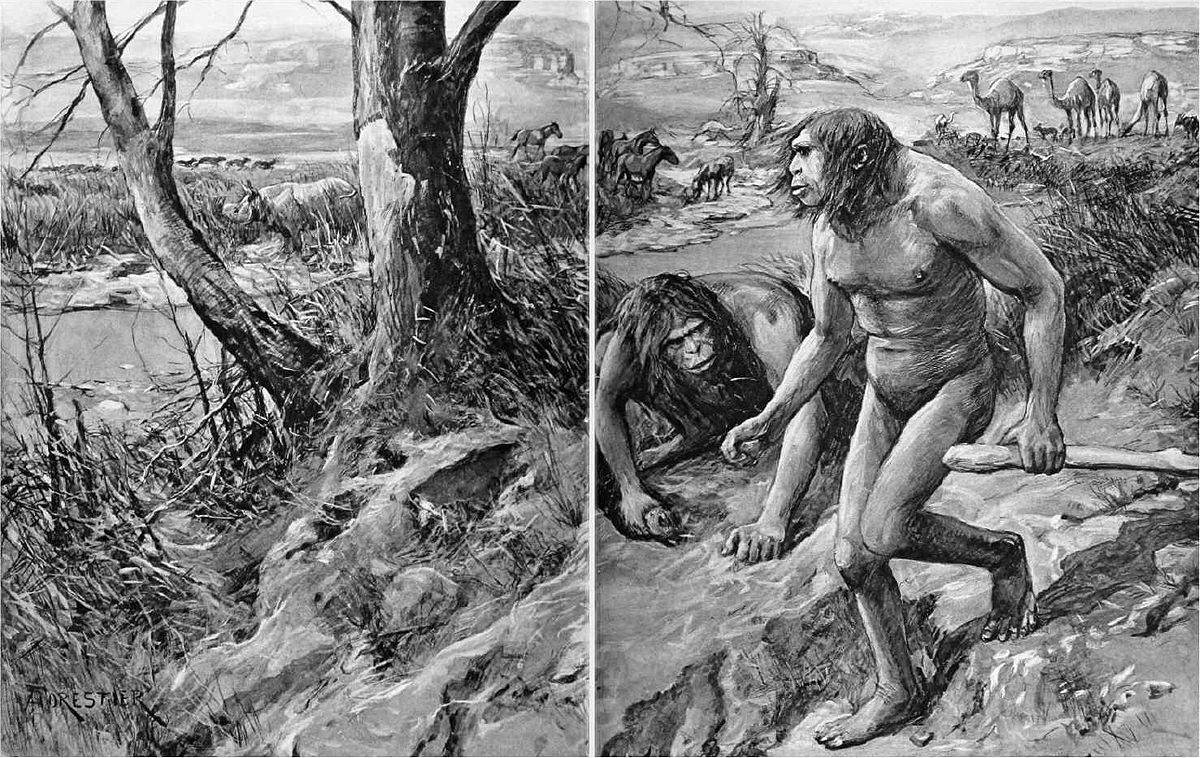 Linhagem humana desconhecida pode ter ligado Homo sapiens e neandertais