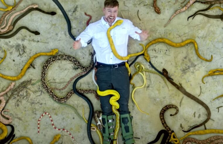 MrBeast passa pela Ilha da Queimada Grande (SP) em aventura pelos lugares mais perigosos do mundo