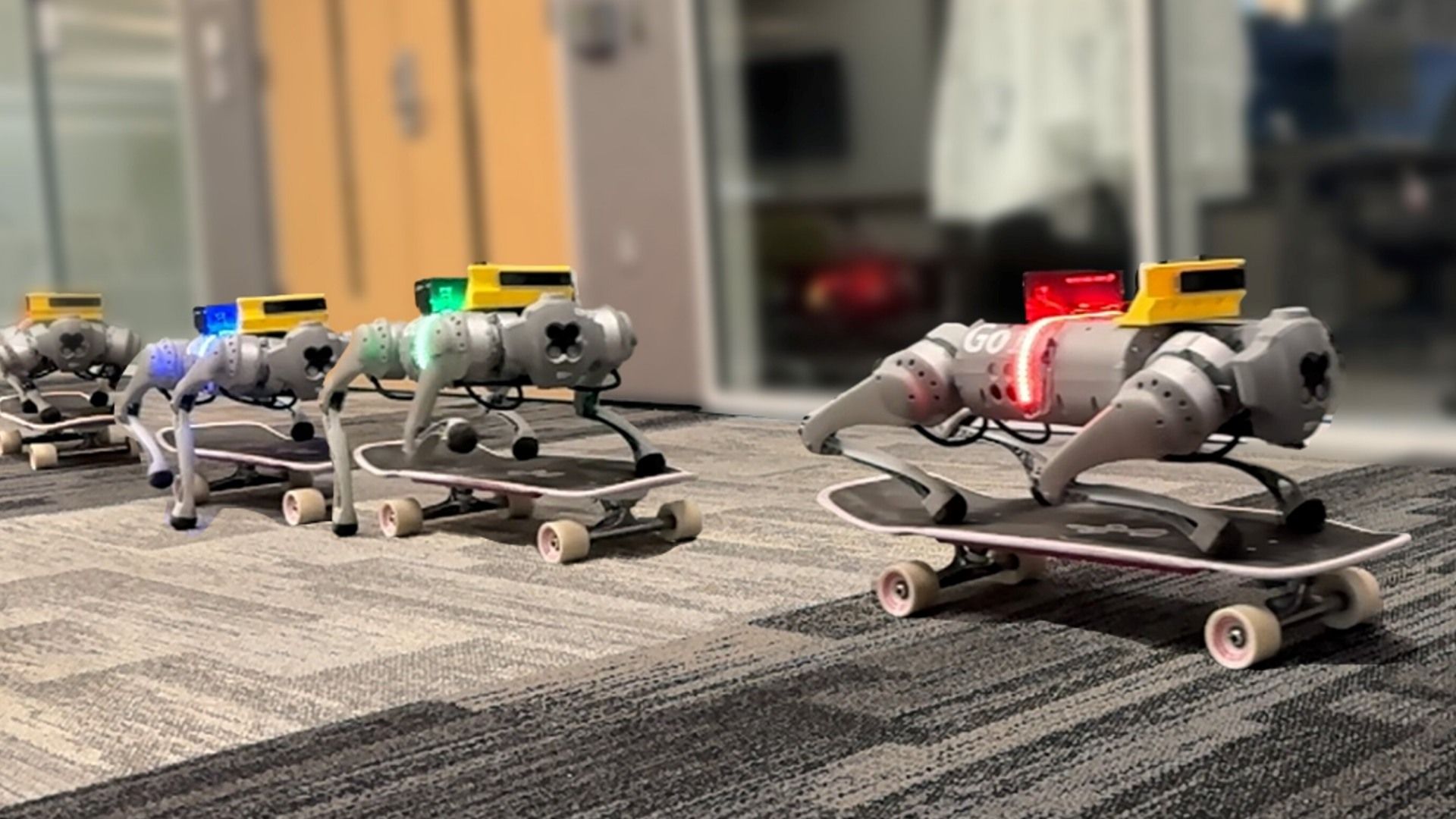 Só os loucos sabem: robôs com quatro ‘pernas’ aprendem a andar de skate