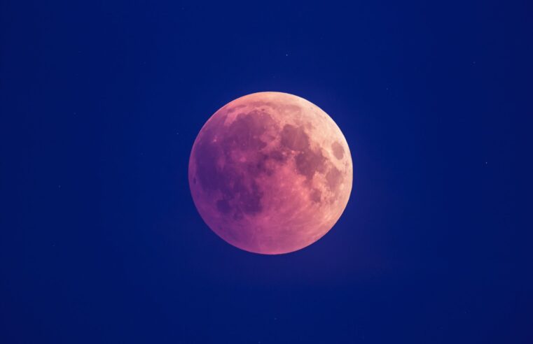 Como foi a Lua Rosa que iluminou os céus no final de semana? Veja imagens!