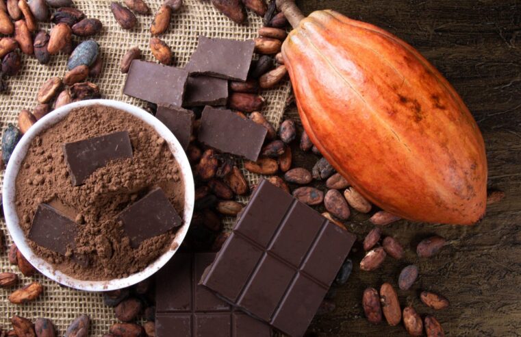 Fim do chocolate? Os esforços da ciência para evitar a extinção do cacau