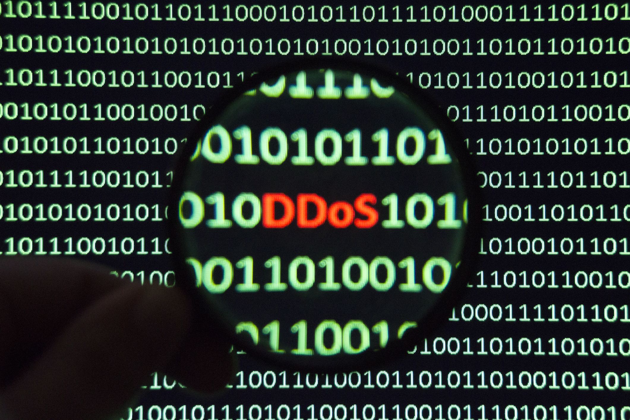 ‘Como termina a ajuda ao regime de Kiev’: municípios dos Países Baixos são atacados hackers russos