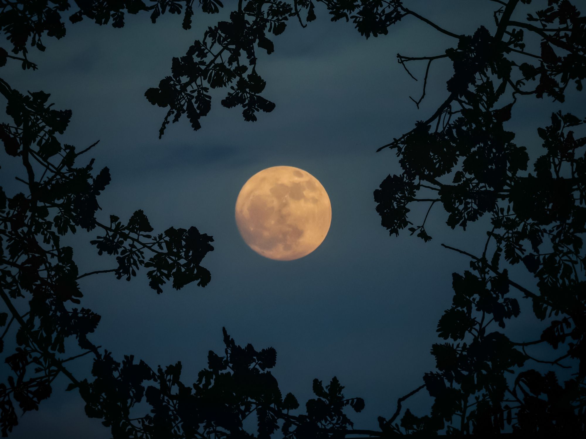 ‘Lua das Flores’: saiba quando acontecerá e como observar a Lua cheia de maio