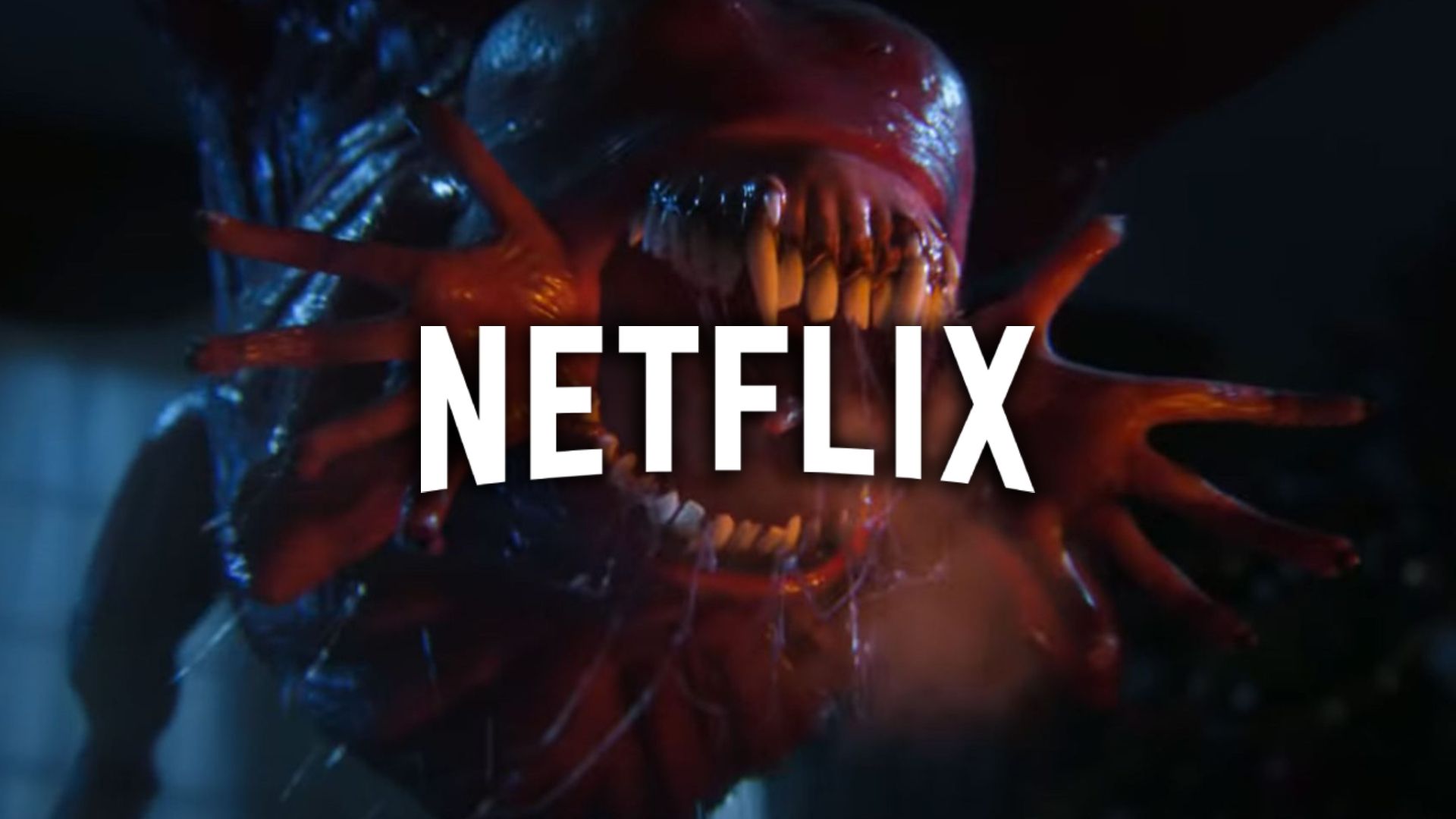7 filmes e séries em alta para assistir na Netflix no fim de semana; veja indicações!