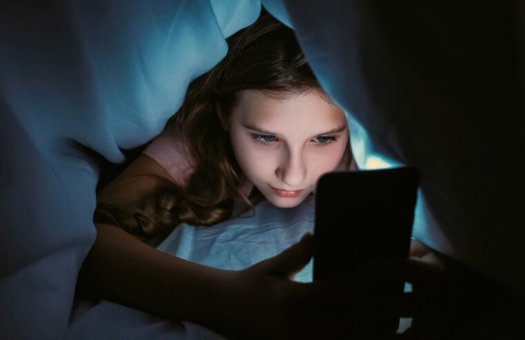 Meta sugere que Google e Apple é que são responsáveis por controlar acesso de crianças às redes