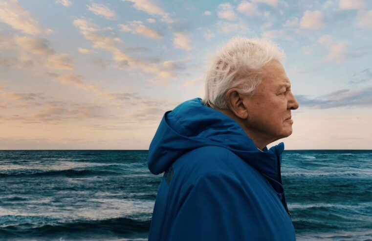 Novo filme da Disney mostra imensidão e fragilidade dos mares: Conheça Oceanos com David Attenborough