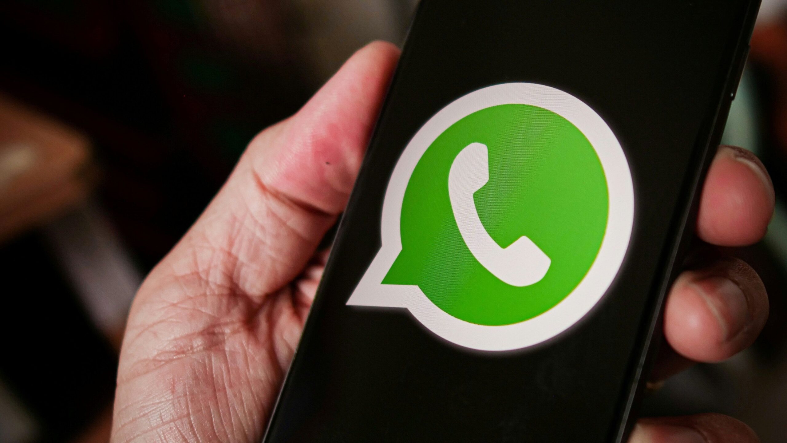Project Omni: conheça o chatbot que vai puxar conversa com você no WhatsApp